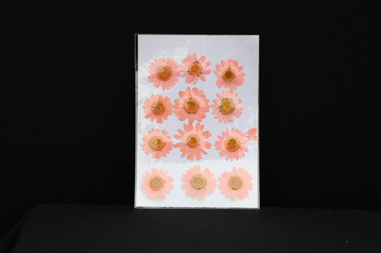 Pink Daisy Flower Sheet
