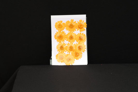 Orange Daisy Flower Sheet