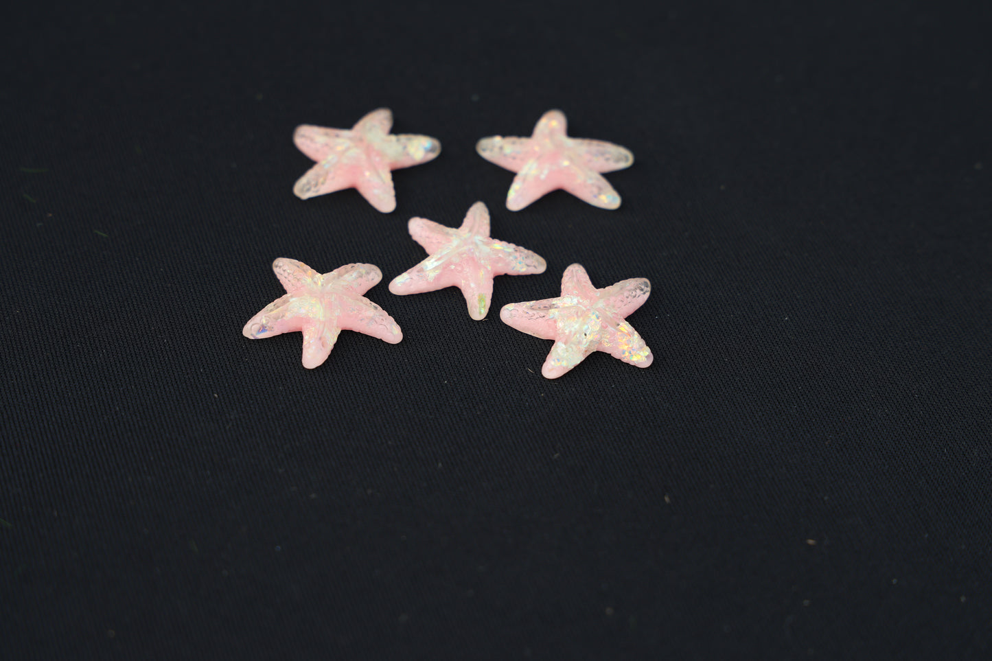 pink star Fish