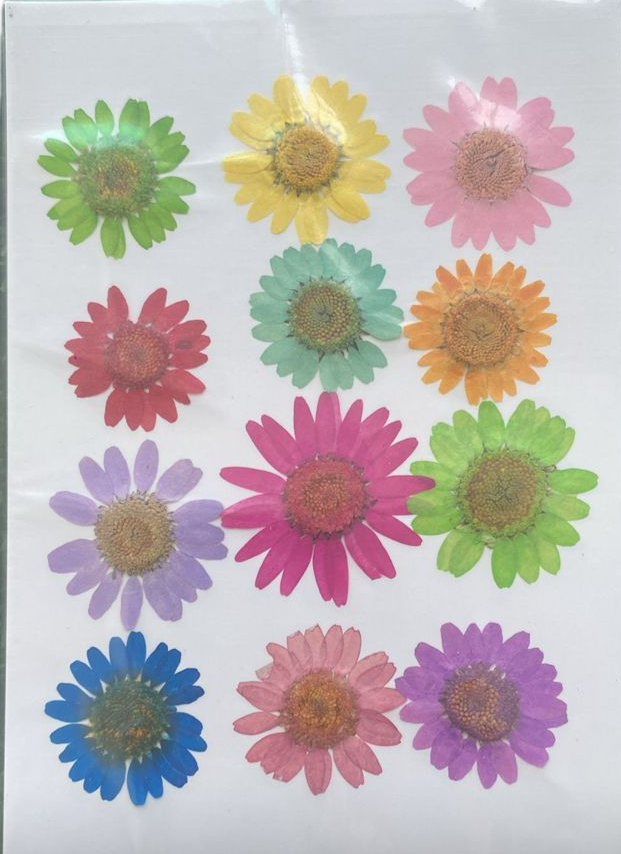 Set of 12 Multicolour flower Sheet