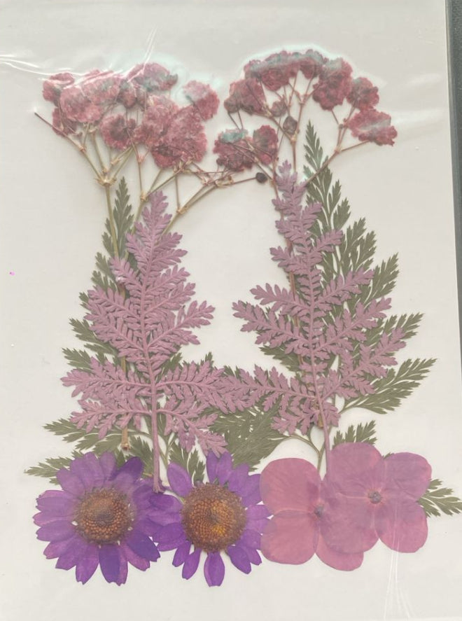 Pressed Flower 05