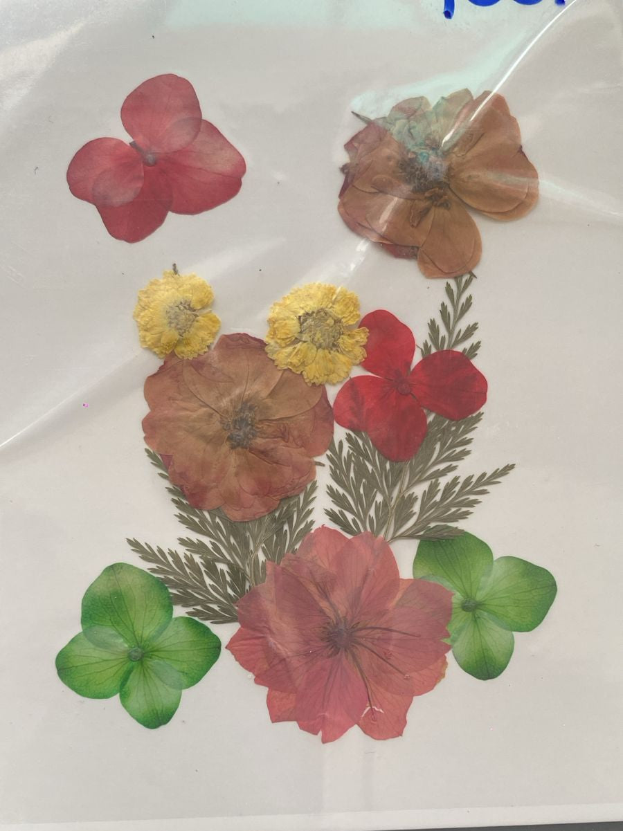 Pressed Flower 04