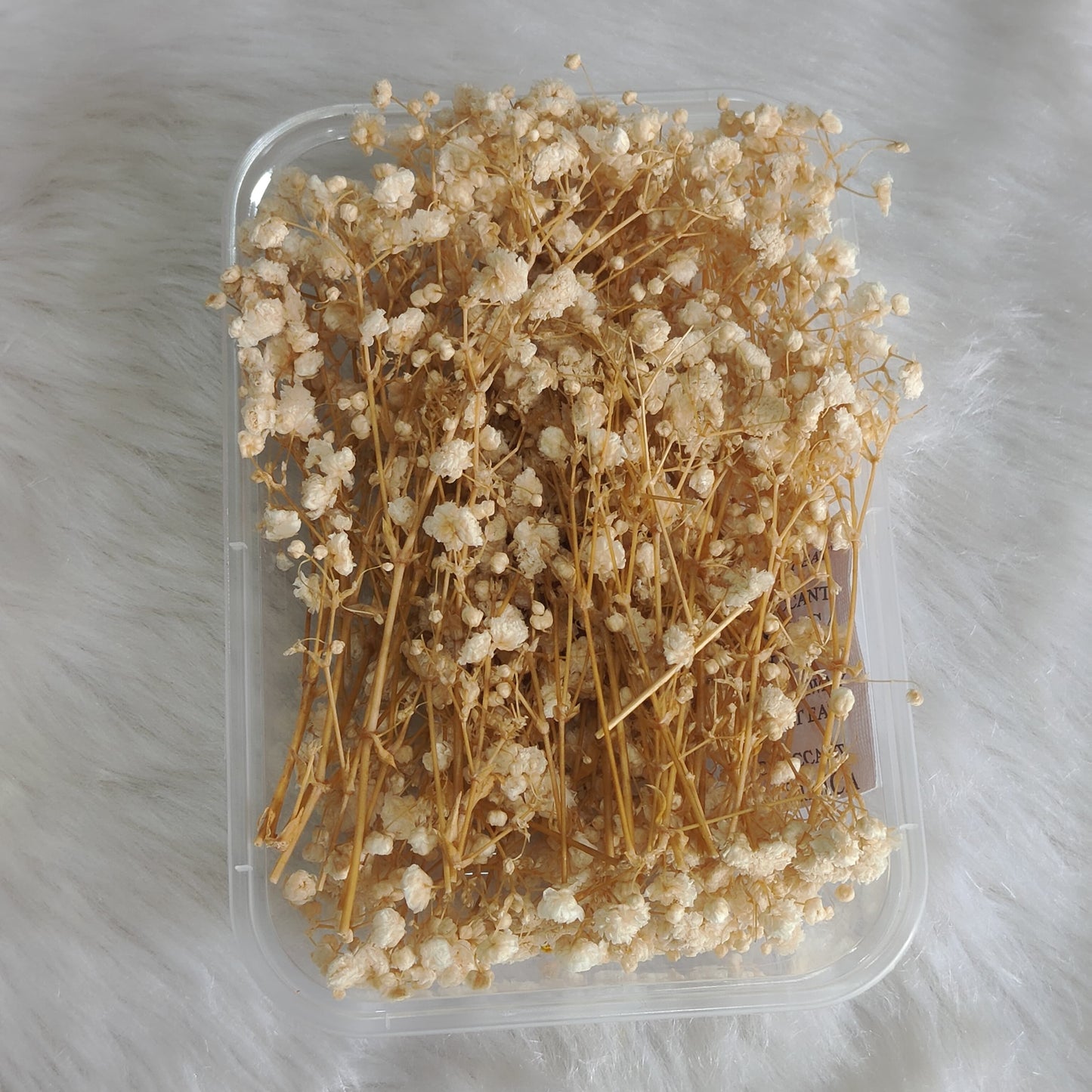 White Baby Breath Flower