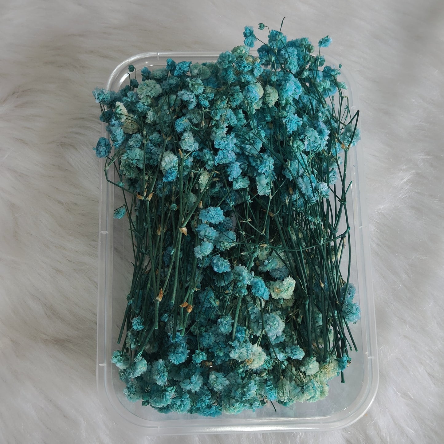 Blue Baby Breath Flower