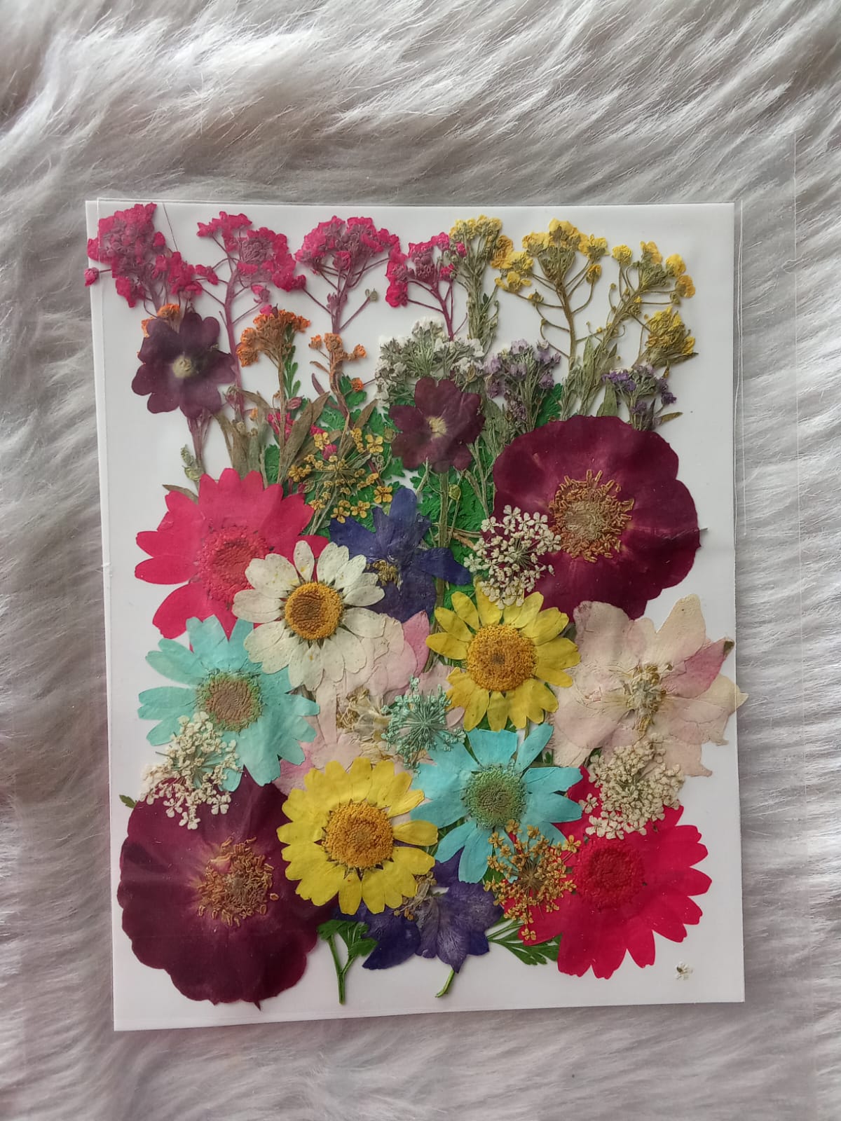 Multicolour Pressed Flower Sheet