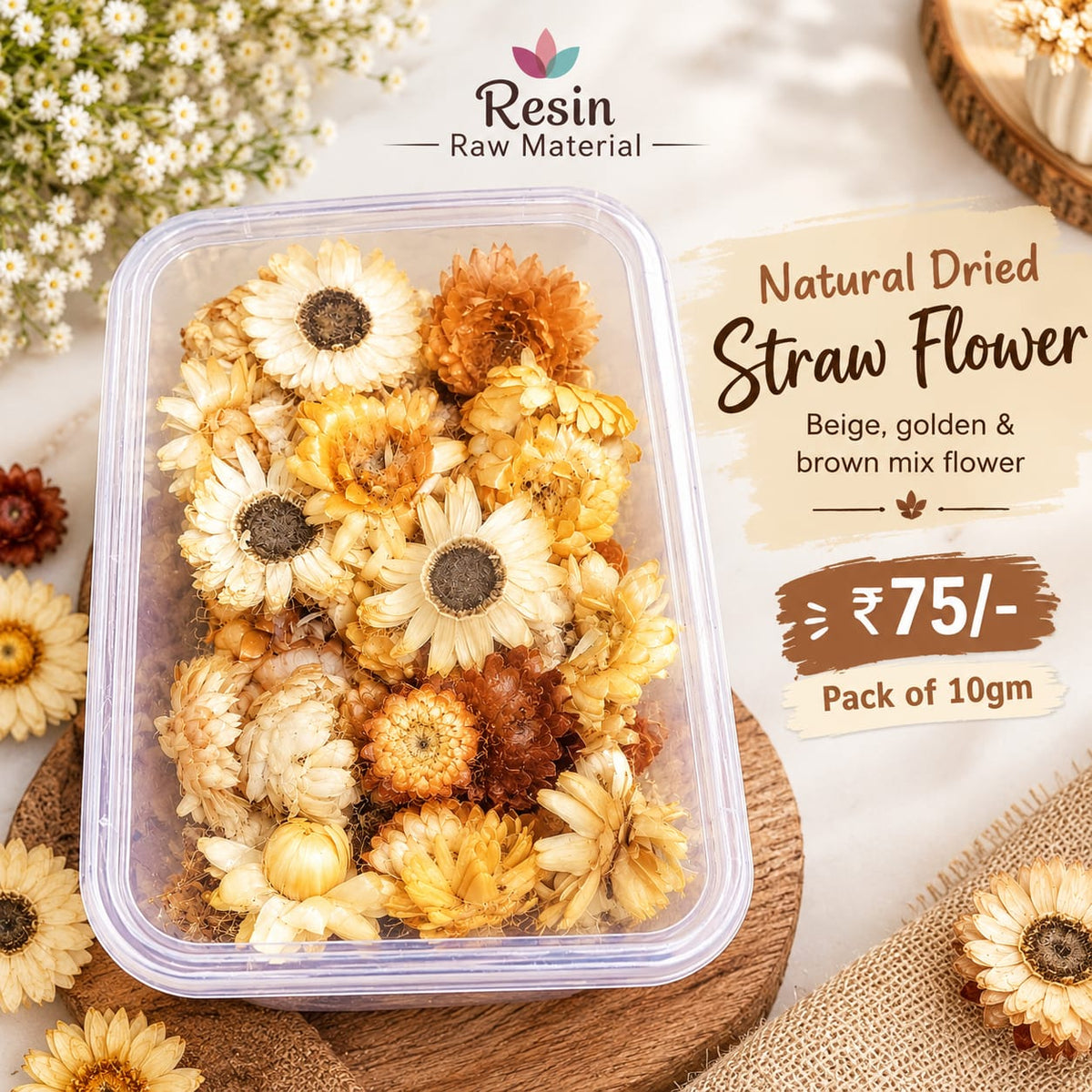 Natural Dried Straw Flower ( Beige,golden & brown mix flower )