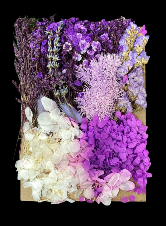 Purple Theme Flower