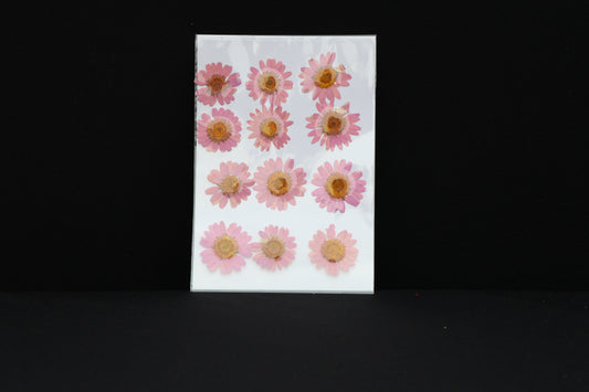 Pink Daisy Flower Sheet