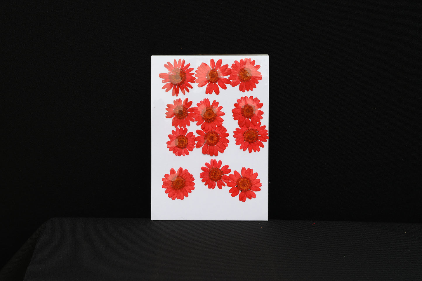 Red Daisy Flower Sheet