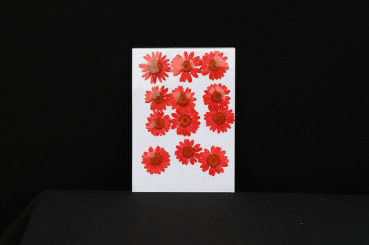 Red Daisy Flower Sheet