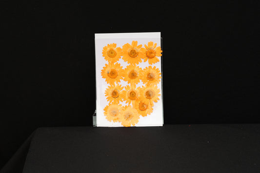 Orange Daisy Flower Sheet