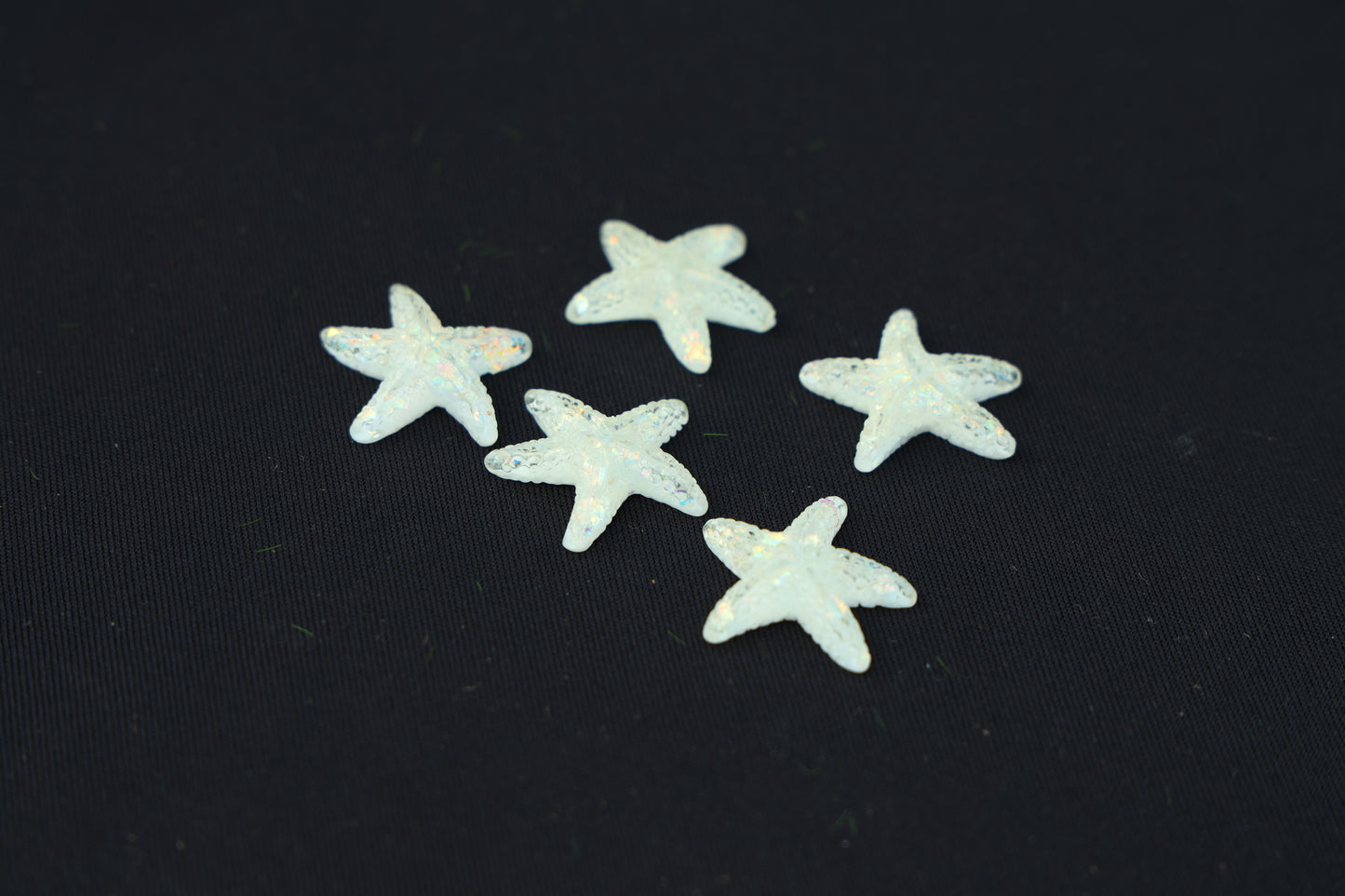 White star Fish