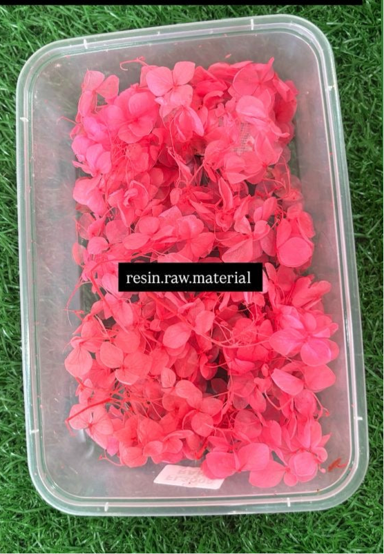 Pink Hydrangea box Flower