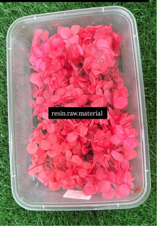 Pink Hydrangea box Flower