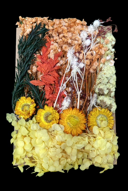 Yellow Theme Flower