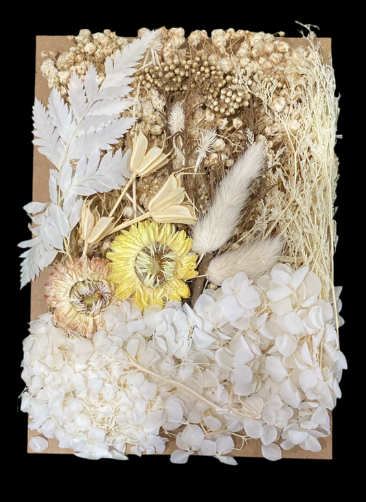 Resin raw material