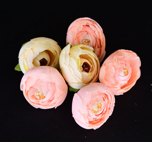 Peony flower