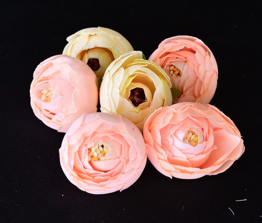 Peony flower