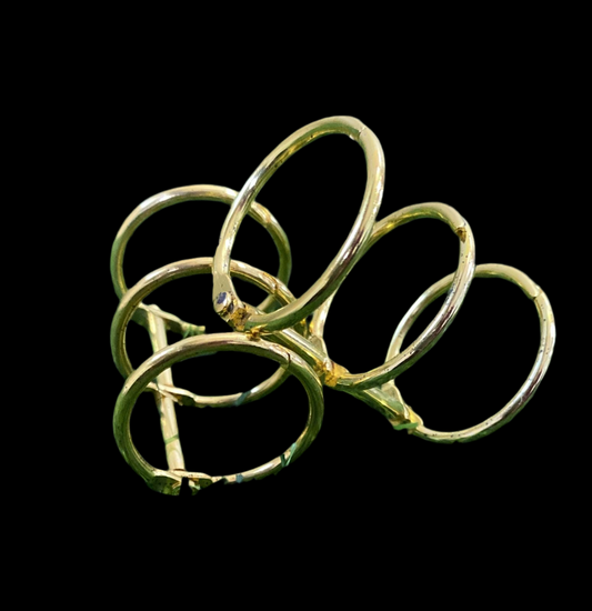 Joint Golden Binder Rings/Diary Rings