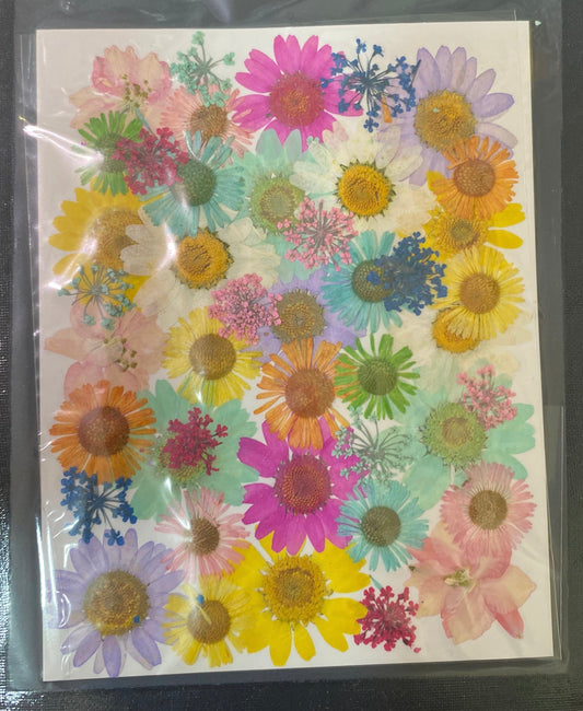 Set of 30 Multicolour Flower sheet