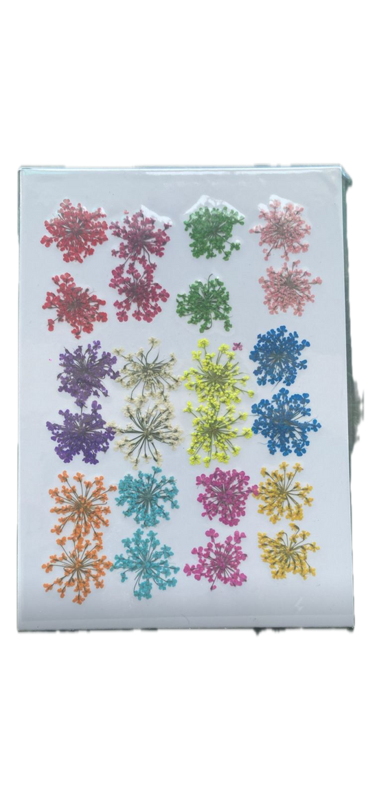 24 in 1 Pressed Flower (Flower-09)
