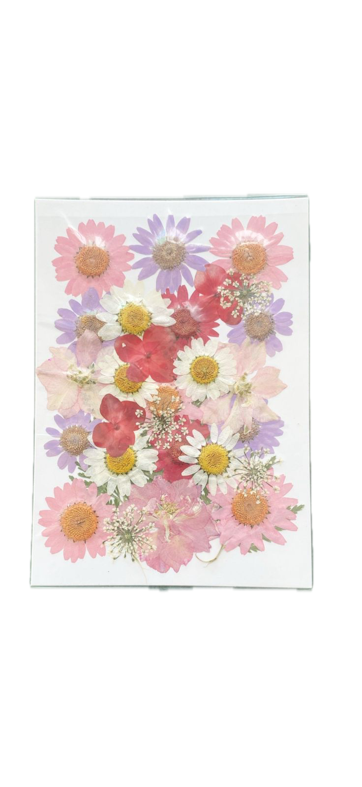 30 in 1 Flower Sheet(Pink