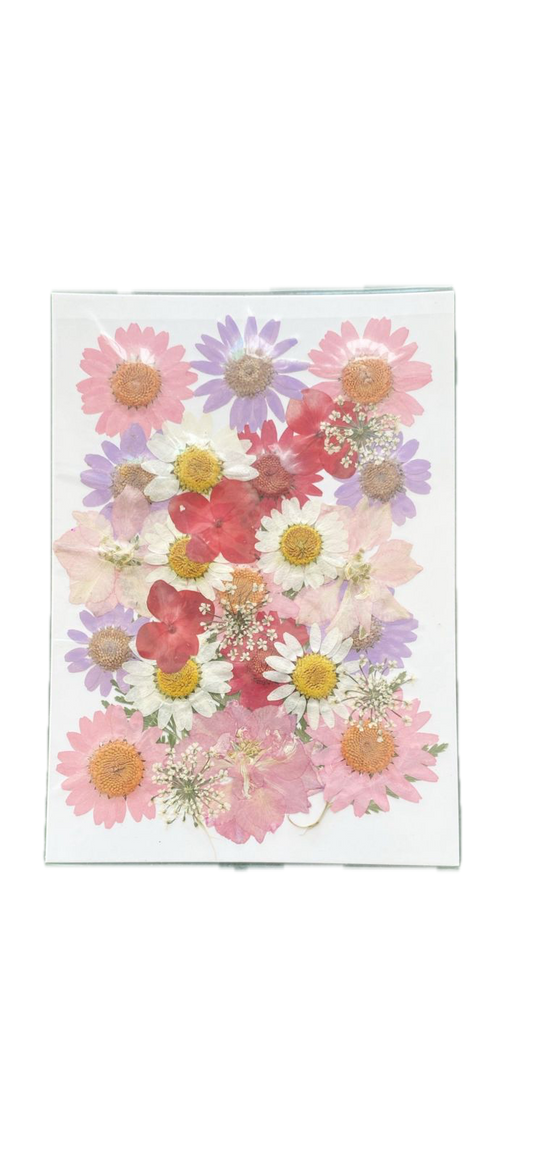 30 in 1 Flower Sheet(Pink