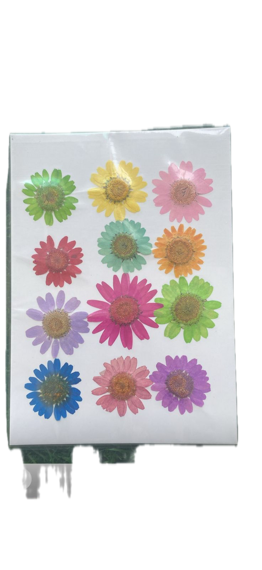 Set of 12 Multicolour flower Sheet