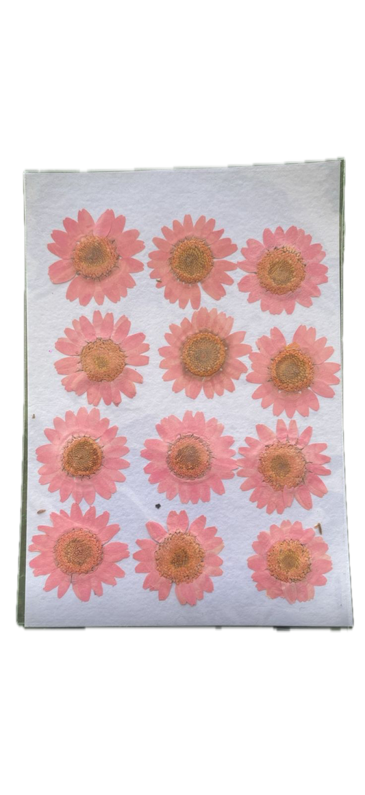 Set of 12 Pink flower sheet