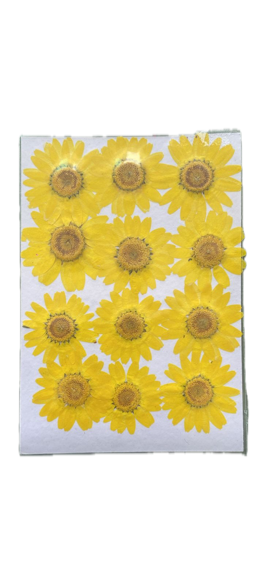 Set of 12 Yellow flower sheet