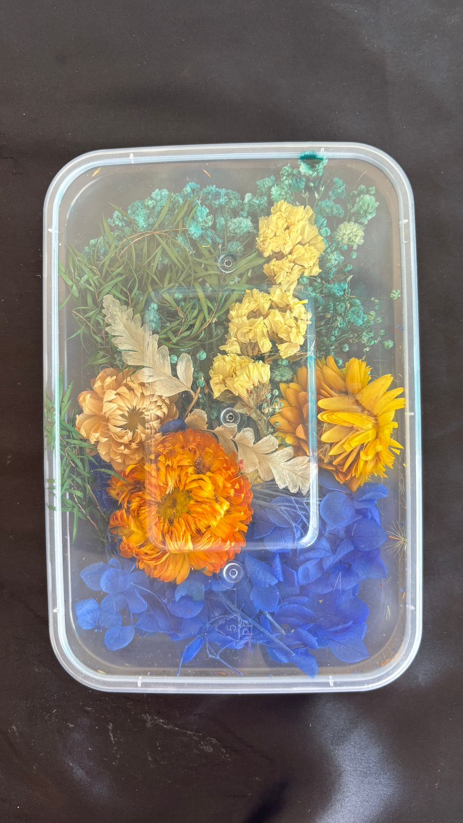 Dry Flower box