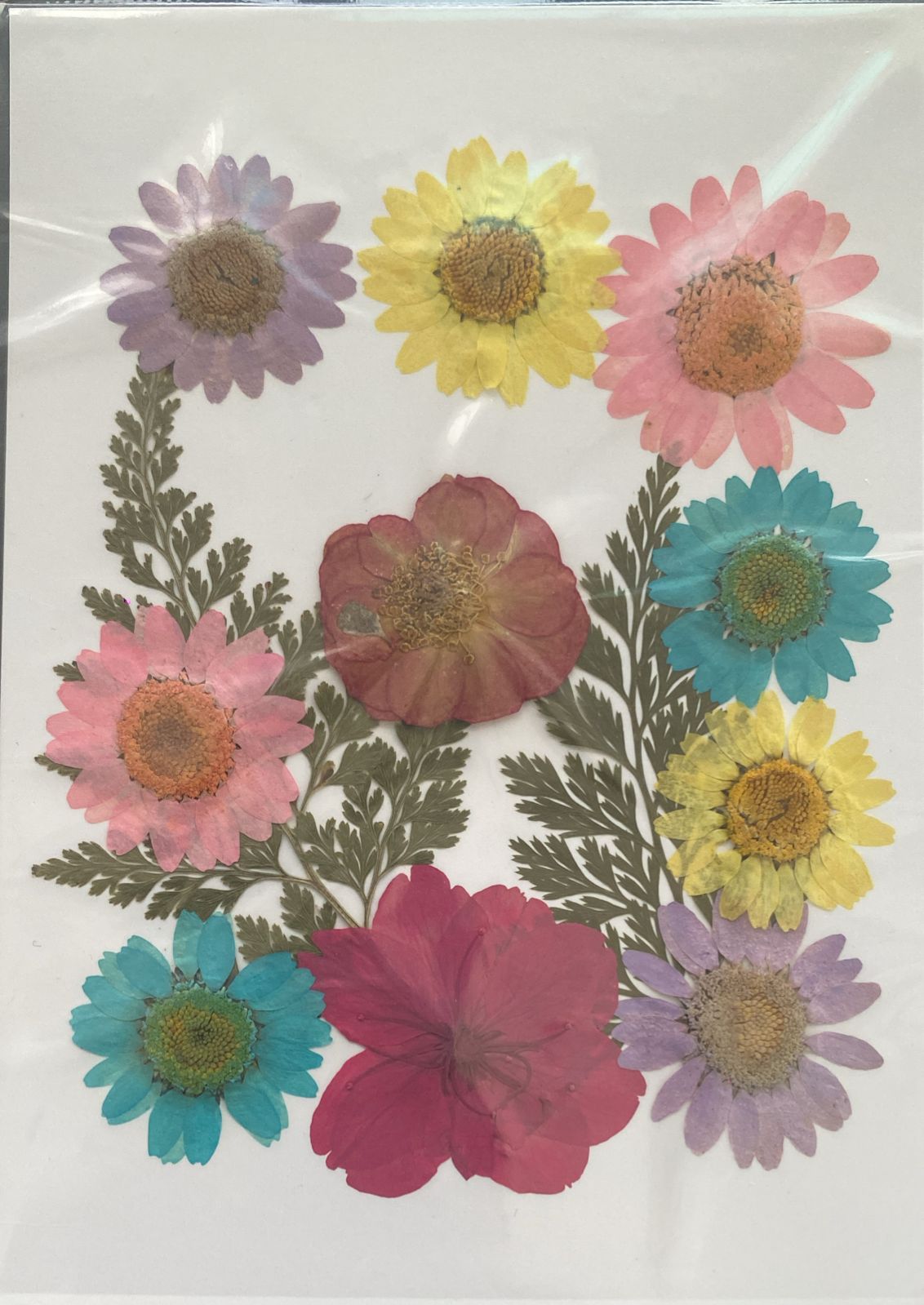 Pressed Flower 06