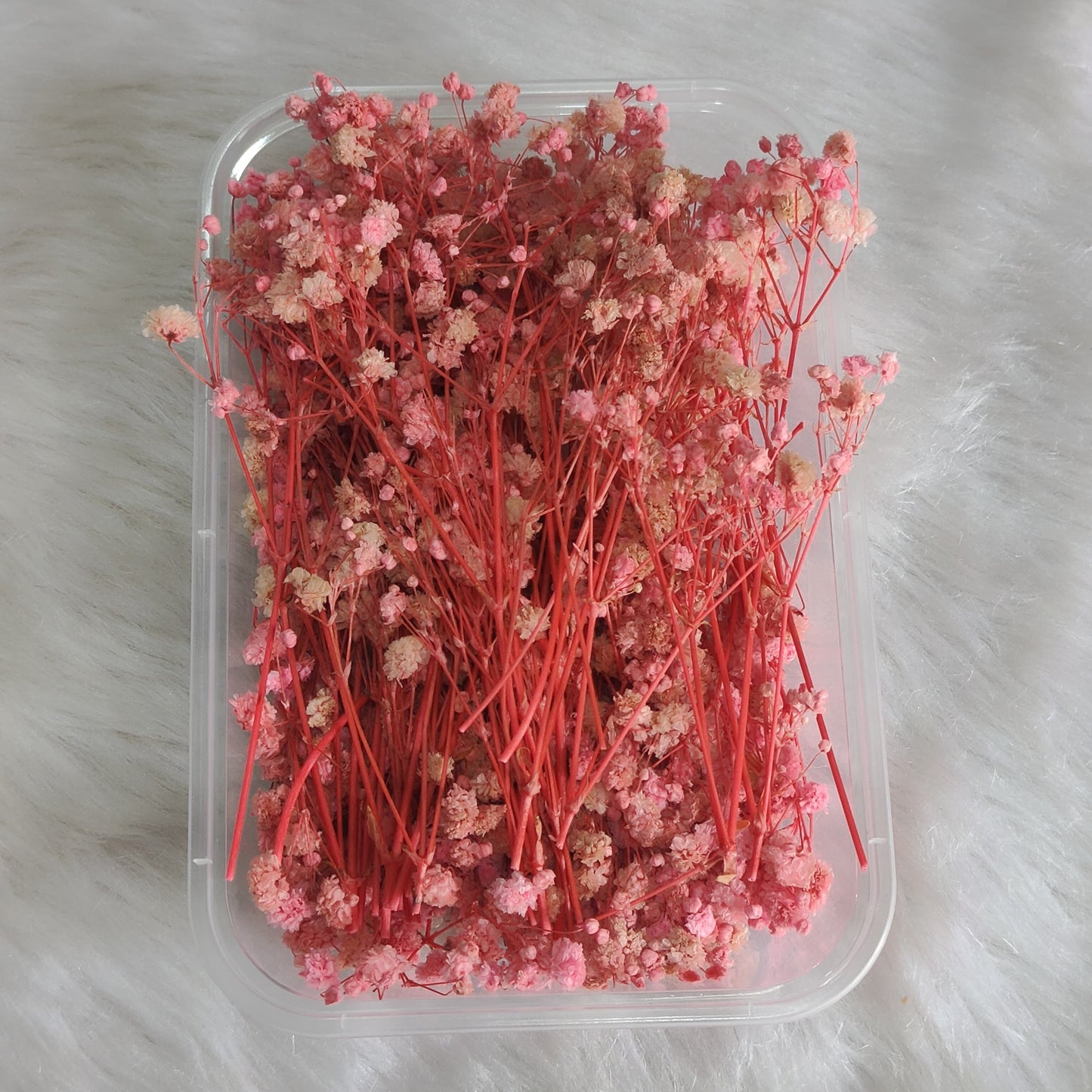 Pink Baby Breath Flower