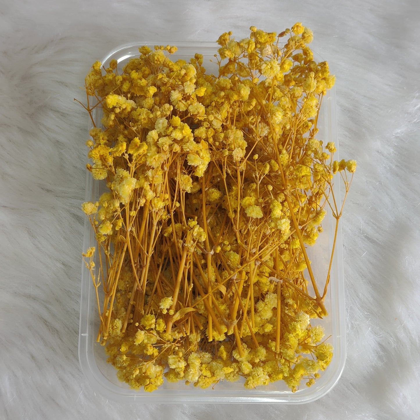 Yellow Baby Breath Flower