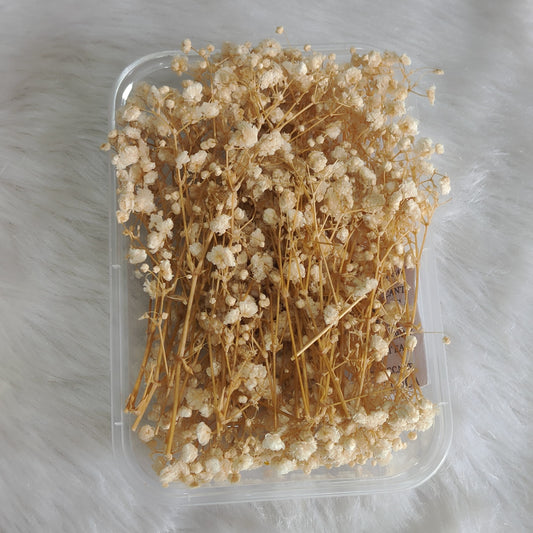 White Baby Breath Flower