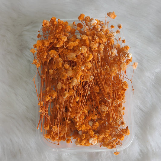 Orange Baby Breath Flower