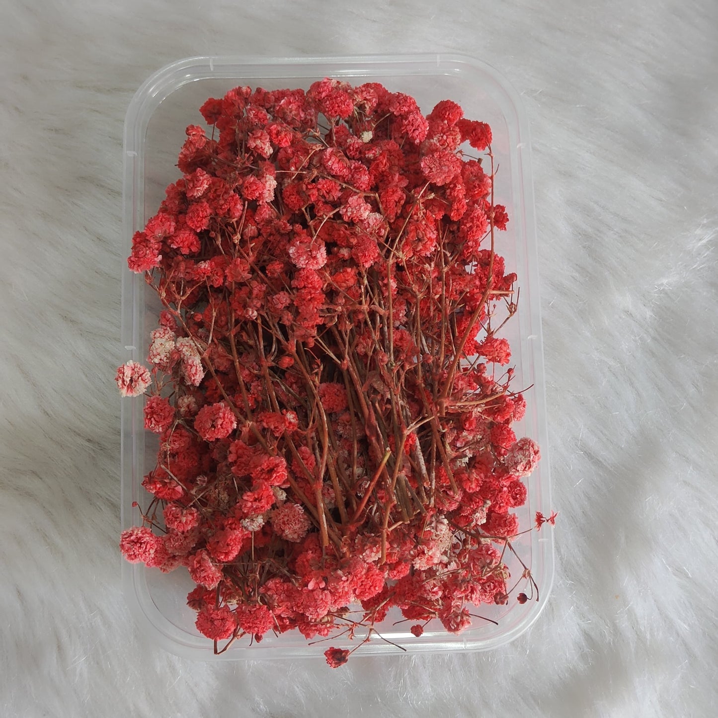 Red Baby Breath Flower