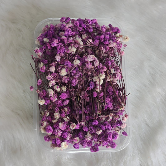 Purple Baby Breath Flower