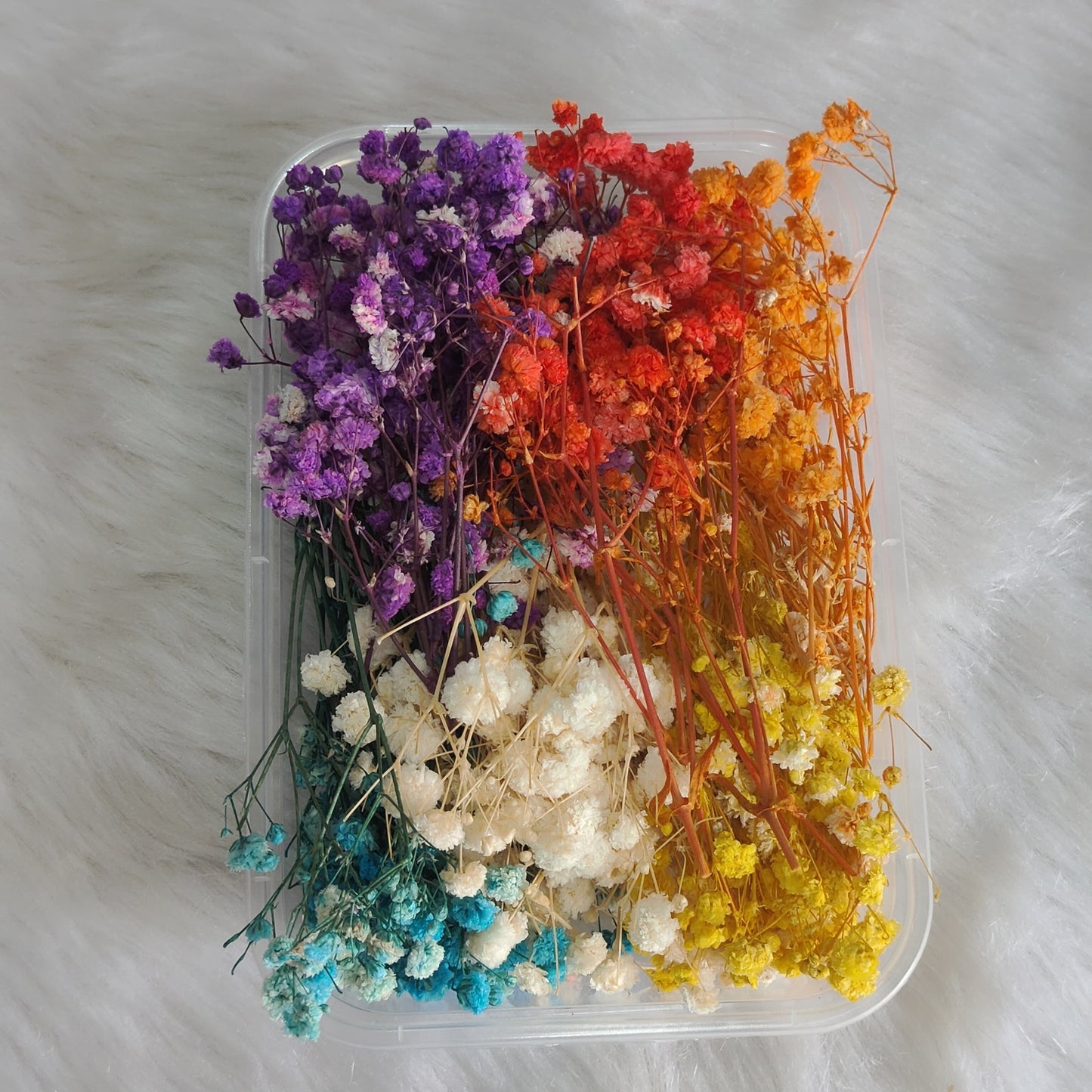 Multicolour Baby Breath Flower