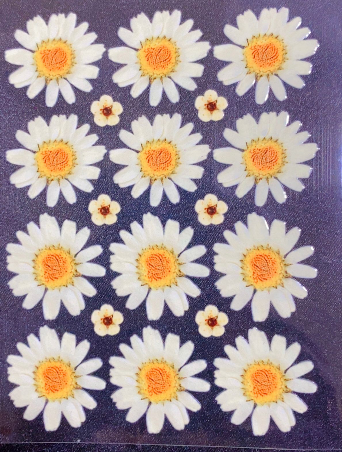 UV Sticker Sheet White Daisy