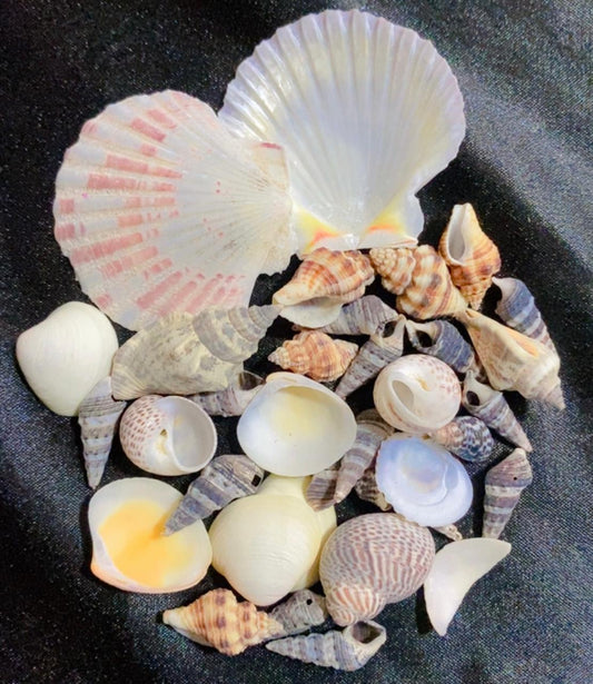 Mix shell