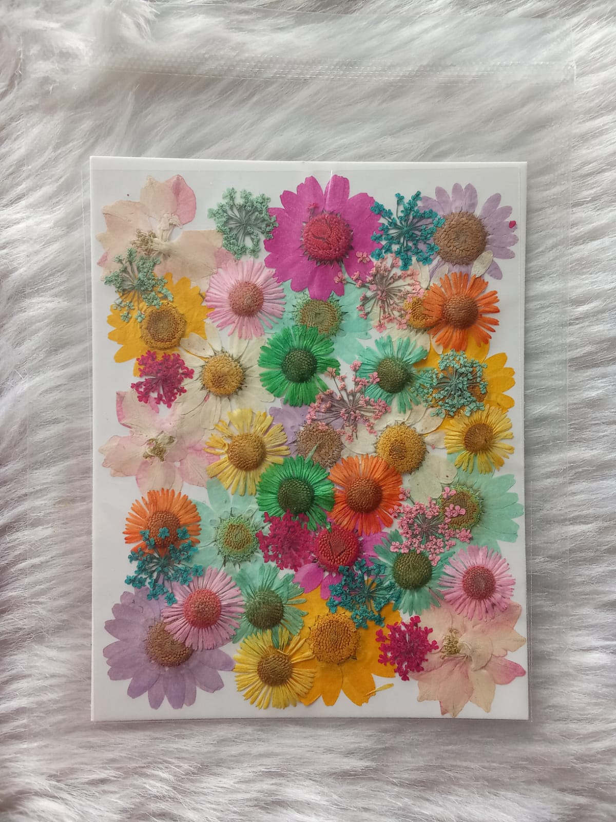 Set of 30 Multicolour Flower sheet