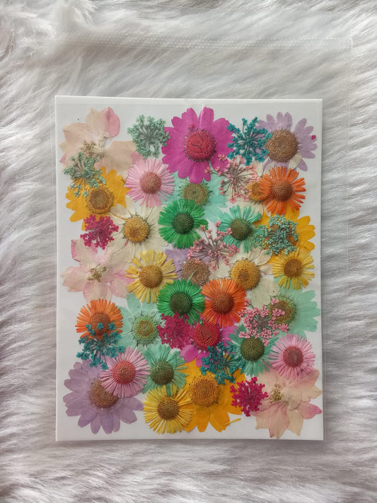 Set of 30 Multicolour Flower sheet