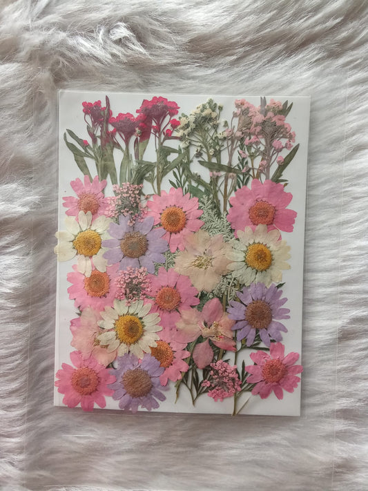 Pink Pressed Flower Sheet