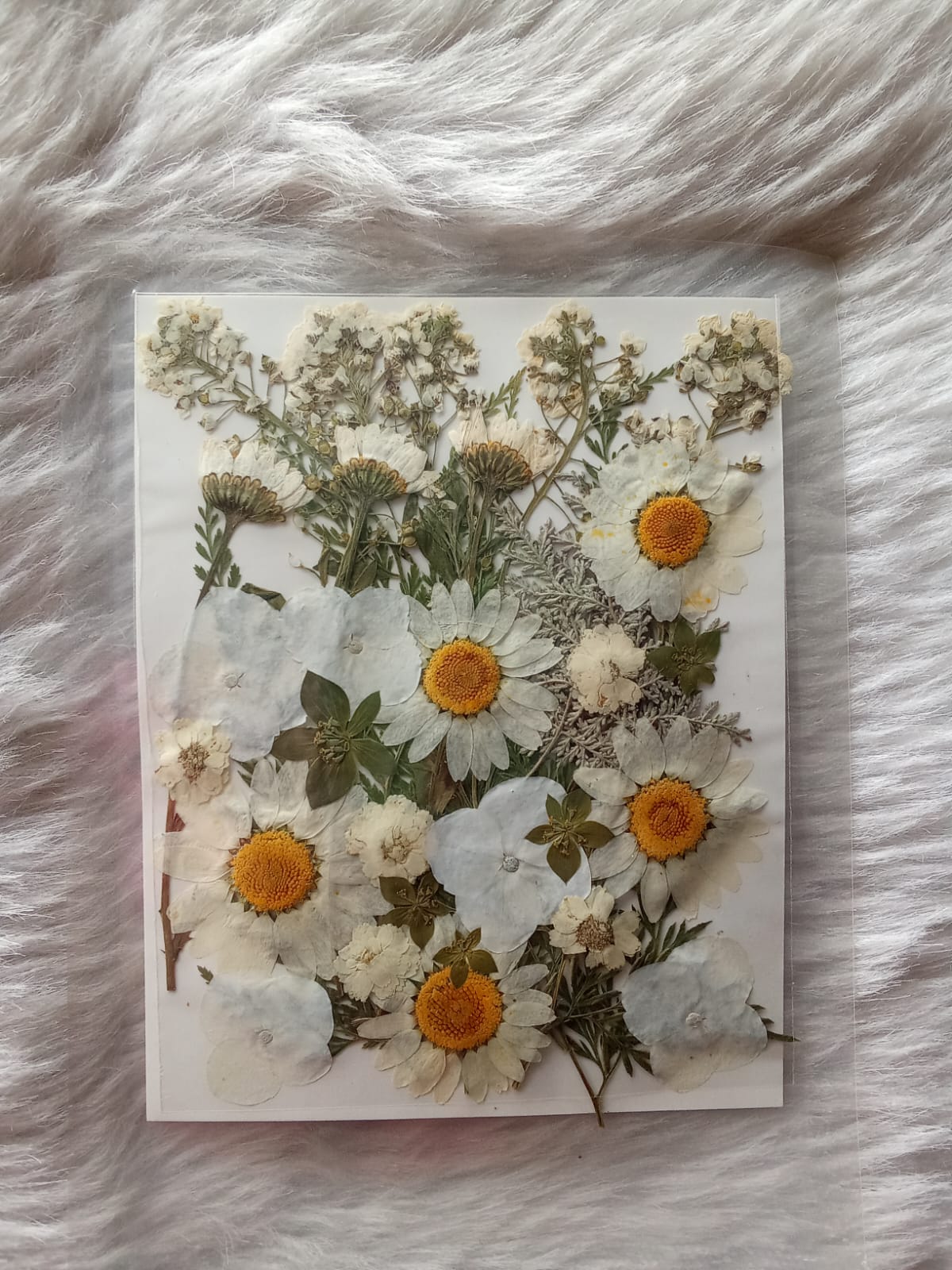White Pressed Flower Sheet