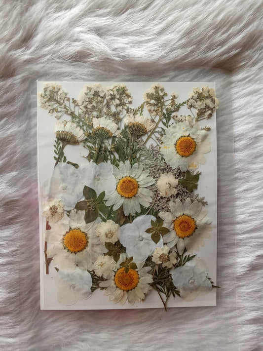 White Pressed Flower Sheet