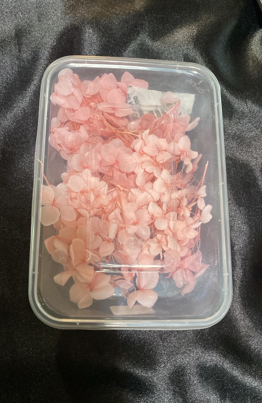 Baby Pink Hydrangea Box Flower