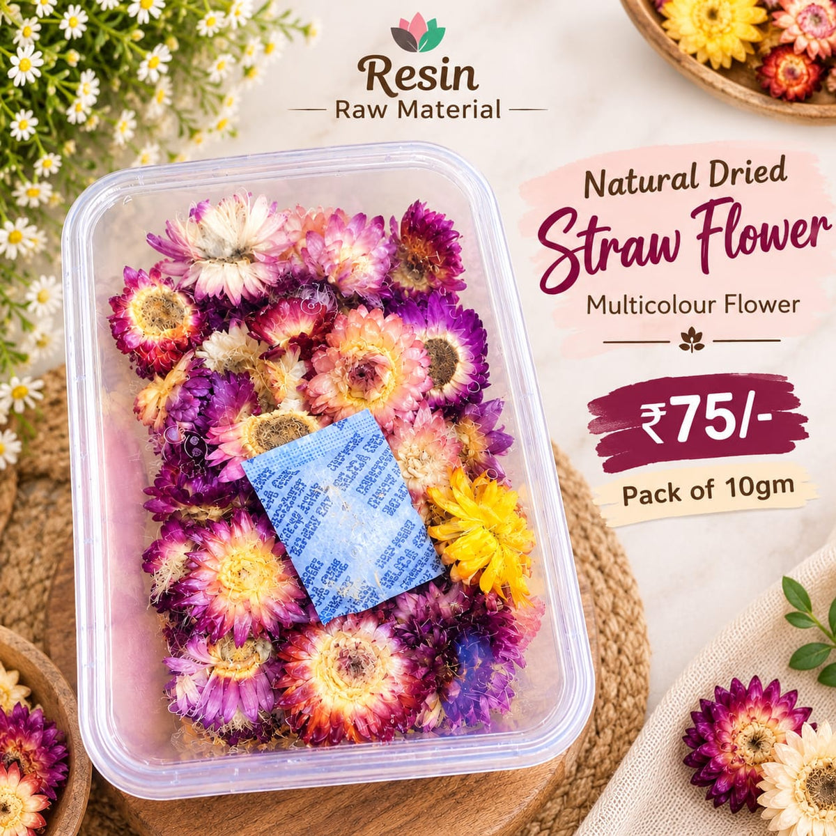 Natural Dried Straw Flower ( Multicolour Flower )